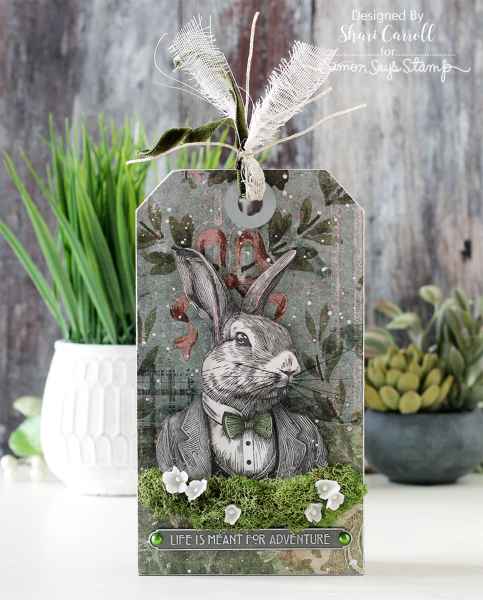 Stampers Anonymous Stamp & Die Sets- Mr. Rabbit, CMS478+MRD by: Tim Holtz