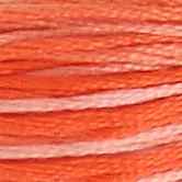 DMC 6-Strand Cotton Embroidery Floss - Mercurochrome Ombre, 117 106