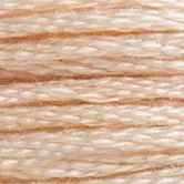 DMC 6-Strand Cotton Embroidery Floss - Linen, 117 3774