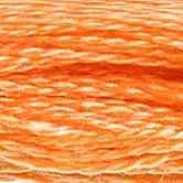 DMC 6-Strand Cotton Embroidery Floss - Shrimp, 117 722