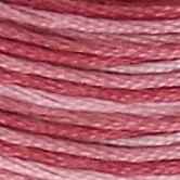 DMC 6-Strand Cotton Embroidery Floss - Redouté Rose Ombre, 117 99