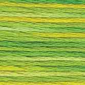 DMC 6-Strand Color Variations - Margarita, 417F 4069