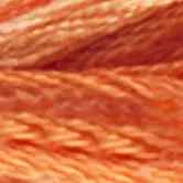 DMC 6-Strand Color Variations - Pumpkin Spice, 417F 4124