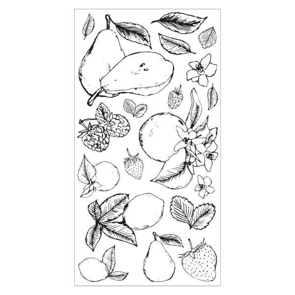 Sizzix Clear Stamps Set 19PK – Botanical Fruit, 666611 By Lisa Jones