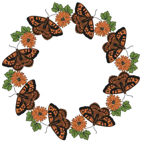 Sizzix Clear Stamps Set 13PK – Nature Butterflies, 666642 By Lisa Jones