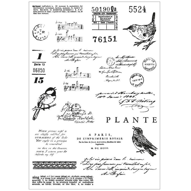 49 & Market A5 Stamps w/Framelits - Bird Song, 666704 by Sizzix