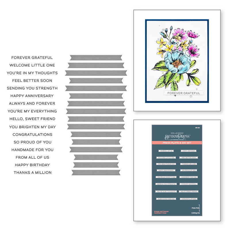 Spellbinders BetterPress Press Plate & Die Set - Always & Forever Sentiment Strips, BP-025