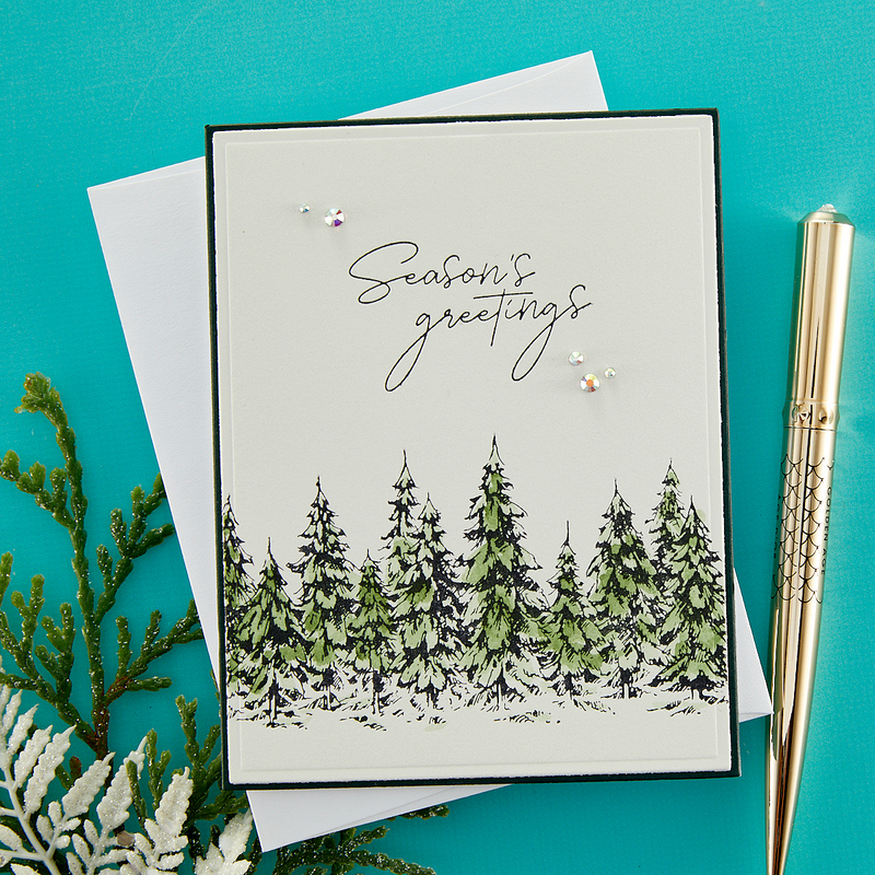 Spellbinders BetterPress Press Plate & Die Set - Season's Greetings Evergreens, BP-073