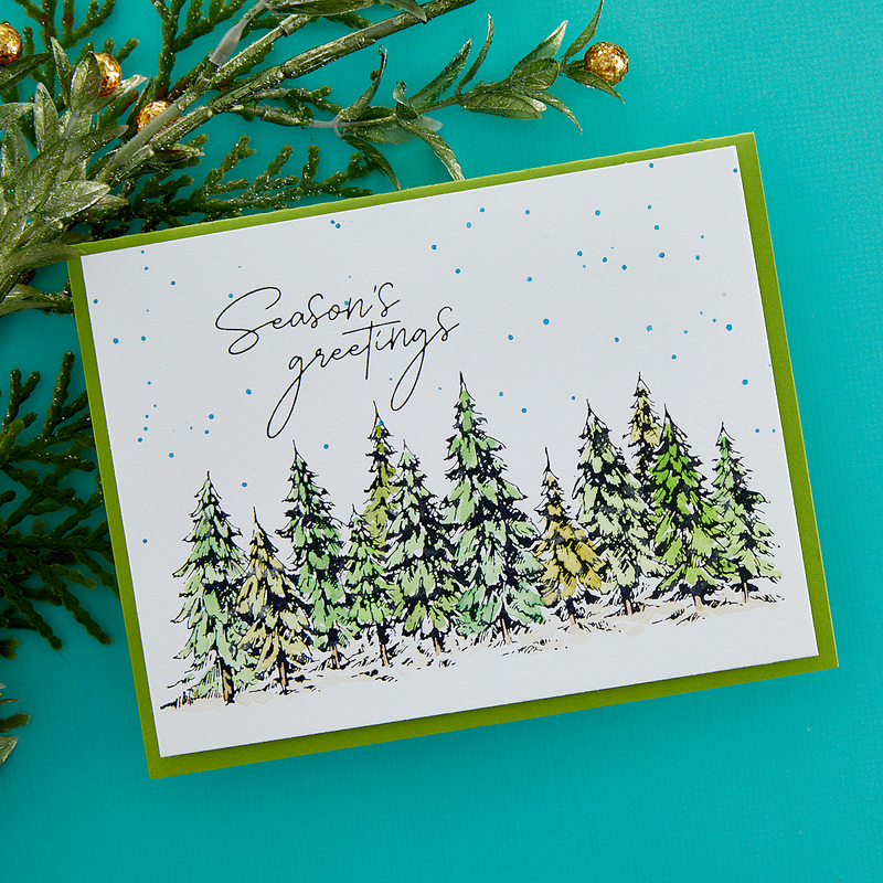 Spellbinders BetterPress Press Plate & Die Set - Season's Greetings Evergreens, BP-073