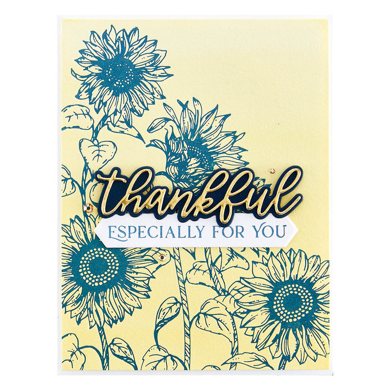 Spellbinders BetterPress Press Plate & Die Set - Fancy Sentiment Strips, BP-091