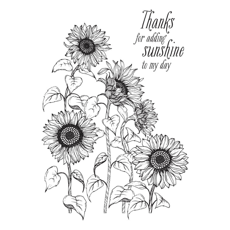 Spellbinders BetterPress Press Plate - Sunflower Field, BP-094