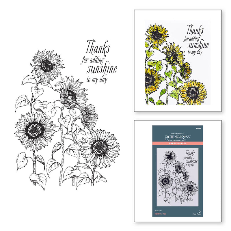 Spellbinders BetterPress Press Plate - Sunflower Field, BP-094