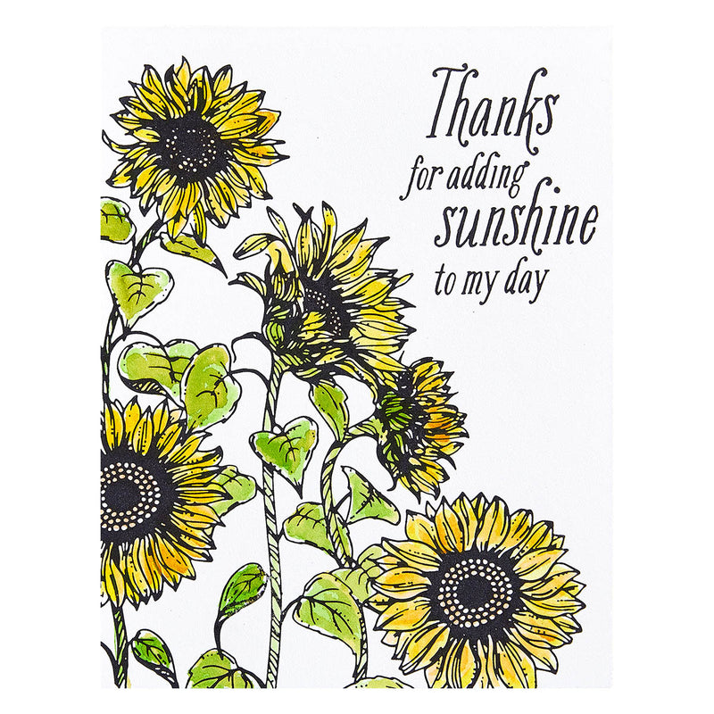 Spellbinders BetterPress Press Plate - Sunflower Field, BP-094