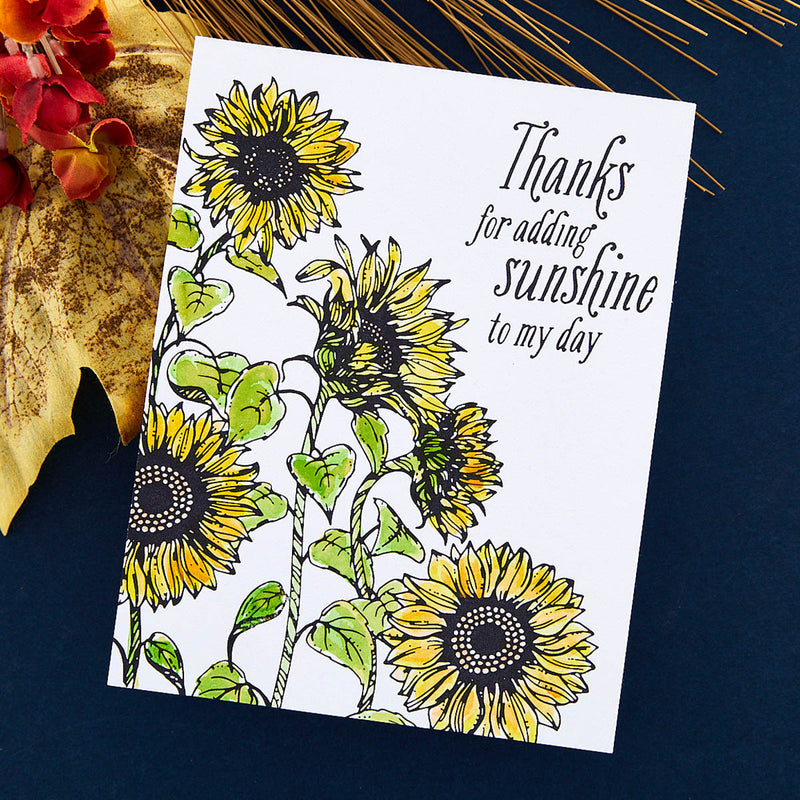 Spellbinders BetterPress Press Plate - Sunflower Field, BP-094