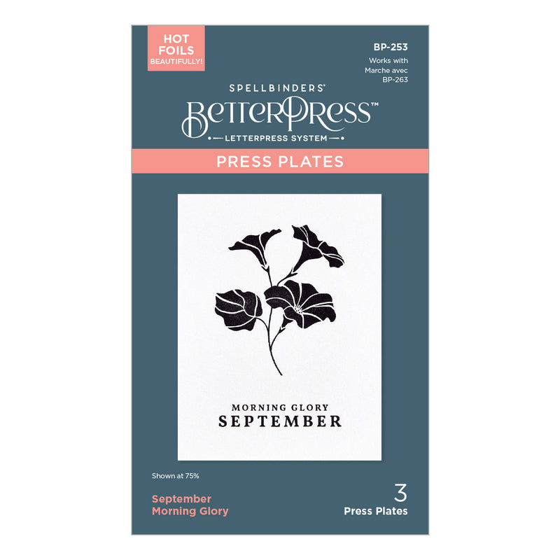 Spellbinders BetterPress Press Plate - September Morning Glory, BP-253