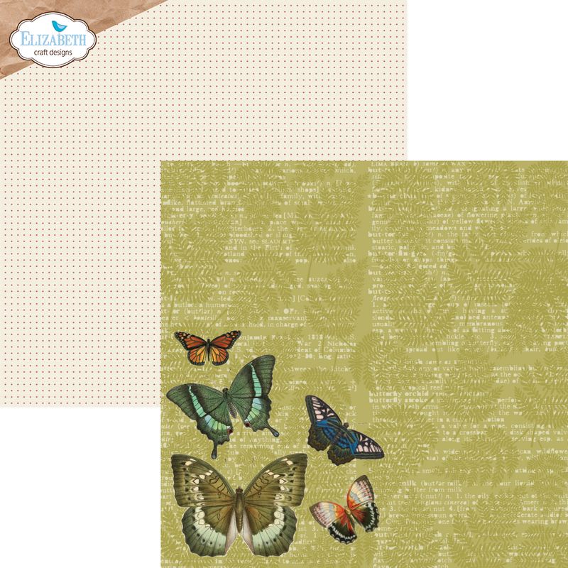 Elizabeth Craft Designs 12x12 Paper Pack- Harmonious Hodgepodge, C024