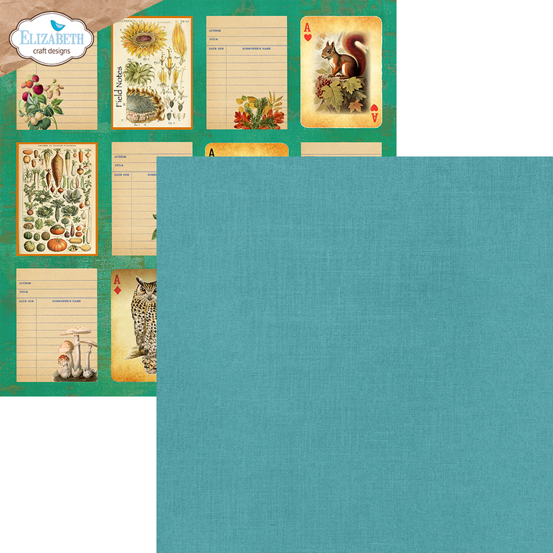 Elizabeth Craft Designs 12x12 Paper Pack - Beautiful Bounty, C028 by: Annette Green