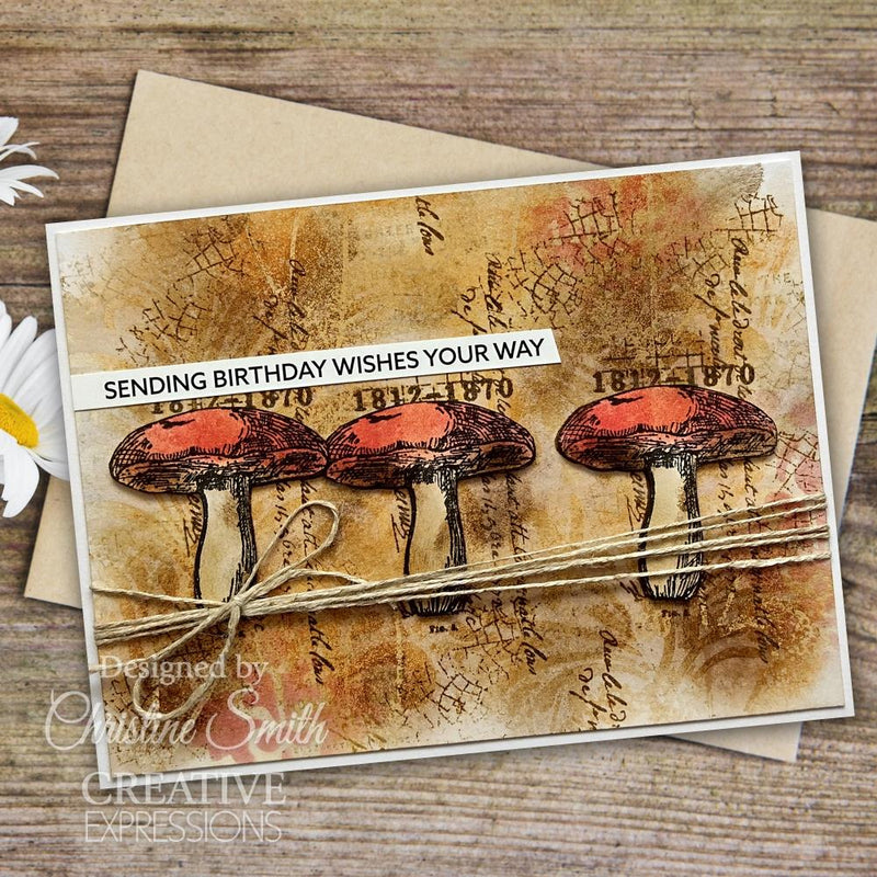 Creative Expressions Stamp Set - Snippets of Nature, CEC1029 by: Sam Poole