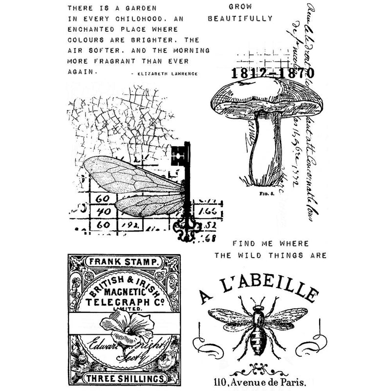 Creative Expressions Stamp Set - Snippets of Nature, CEC1029 by: Sam Poole