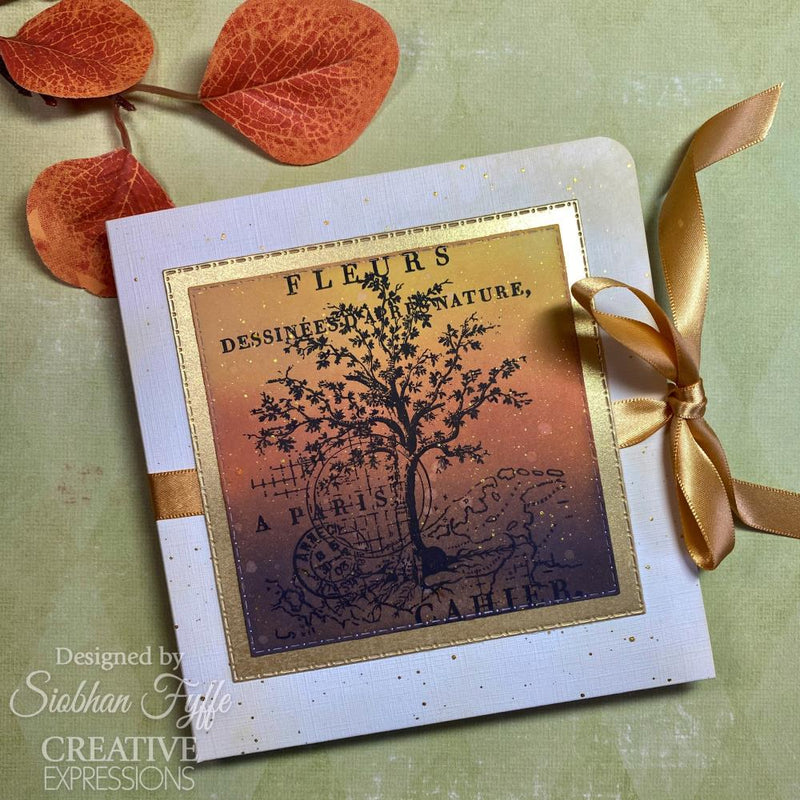 Creative Expressions 4x6 Clear Stamp Set - Nature CEC1084 by Sam Poole