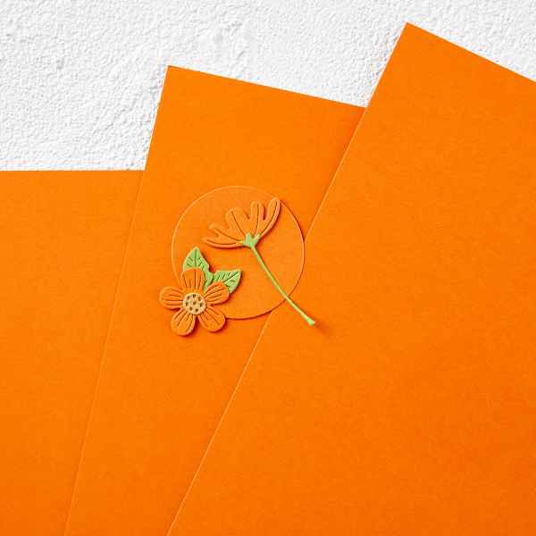 Spellbinders - Color Essentials Cardstock 8.5 x 11” – Tangerine, CS-071