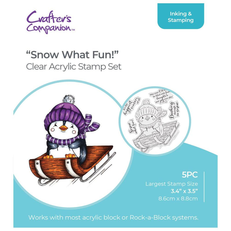 Crafter's Companion 4x4 Clear Stamp Set - Snow What Fun!, CSTCASWF