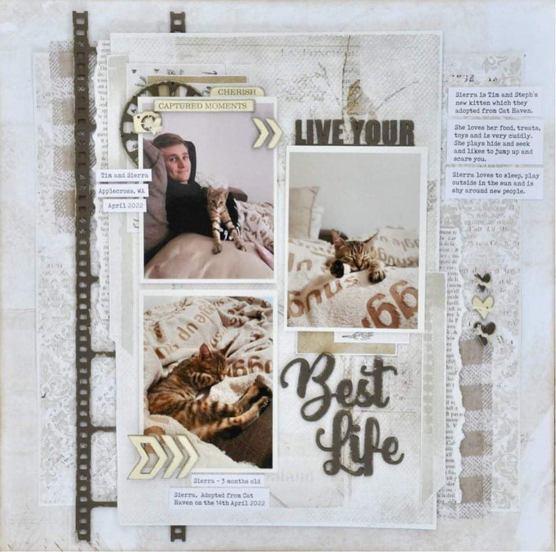 Dusty Attic Custom Mixed Chipboard 12x6 - Live Your Best Life, DACC17