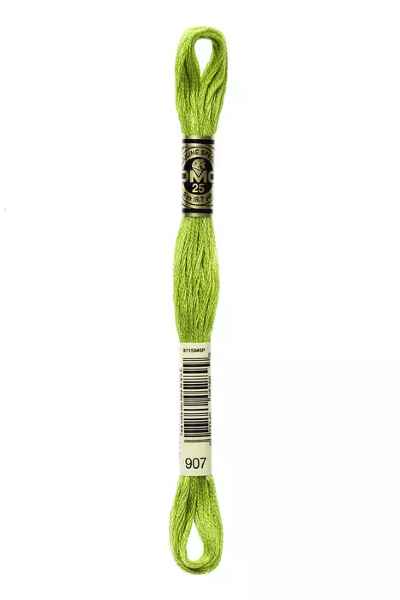 DMC 6-Strand Embroidery Floss - Light Parrot Green (Granny Smith), DMC907