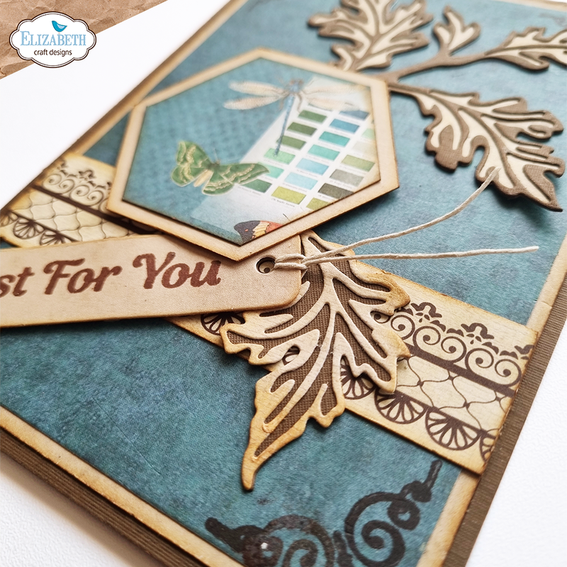 Elizabeth Craft Designs - Cardmaker Special Kit, K020 by: Annette Green