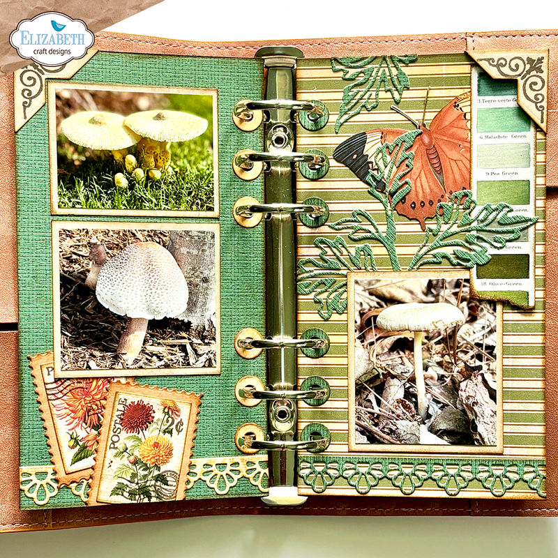 Elizabeth Craft Designs - Cardmaker Special Kit, K020 by: Annette Green