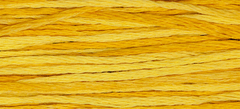 Weeks Dye Works 6-Strand Embroidery Floss 5yd - Squash, ODF 2224