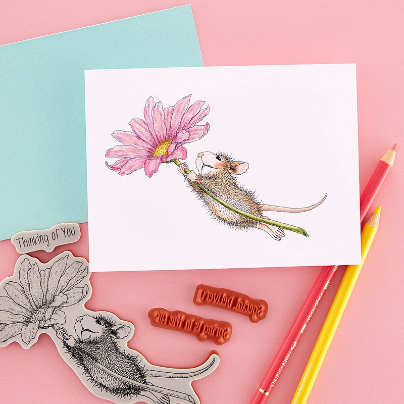 Spellbinders - House Mouse Spring Collectors Bundle, BD-0780