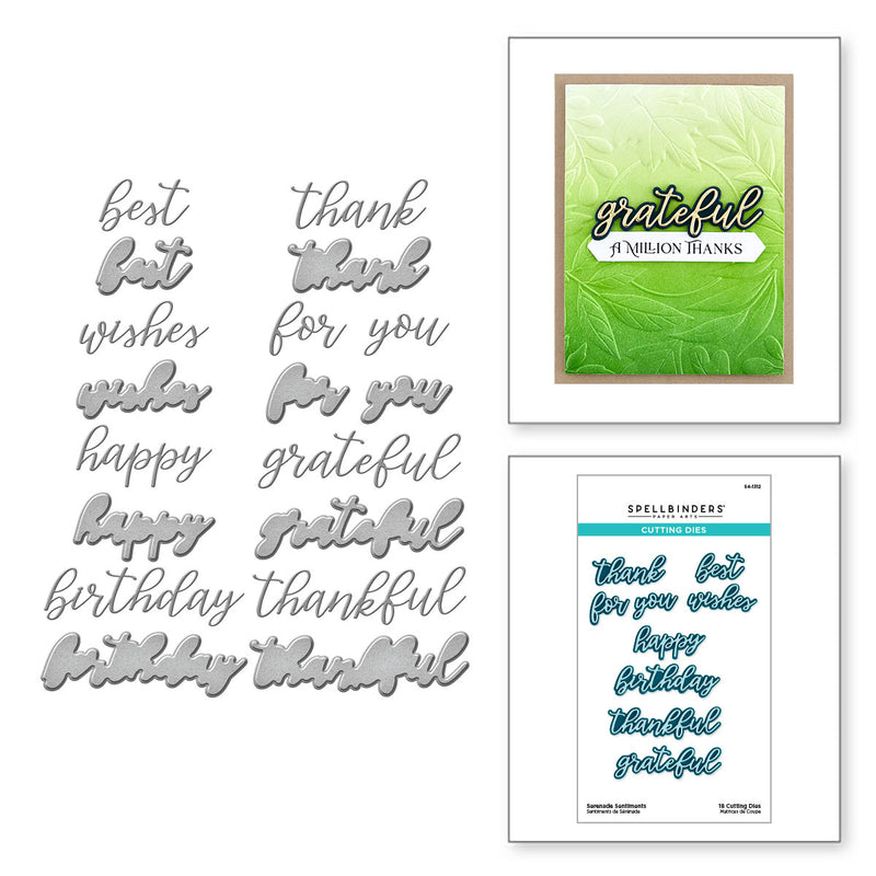 Spellbinders Etched Dies - Sunflower Sentiments, S4-1312