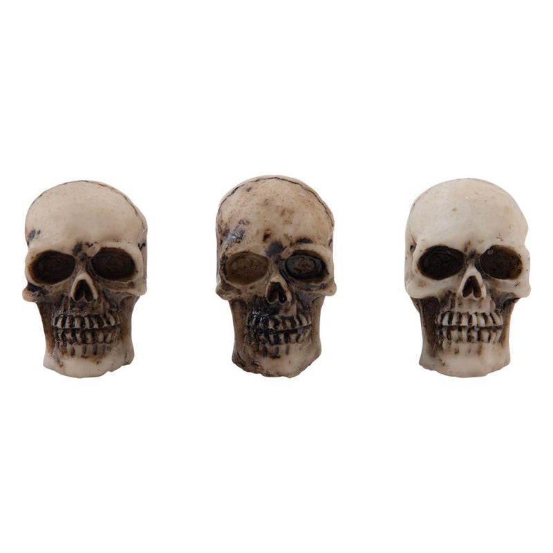 Tim Holtz Idea-Ology - Skulls & Bones, TH94339 Halloween 2023 Retired