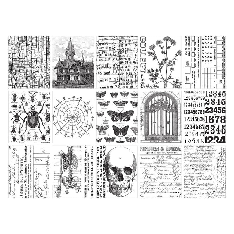 Tim Holtz Idea-ology - Collage Paper Halloween 2024, TH94393 Now Retired