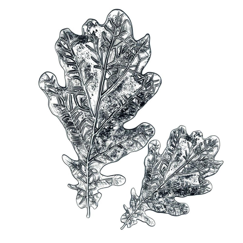 Sizzix 3-D Impresslits Embossing Folder - Oak Leaf, 665374 by: Tim Holtz