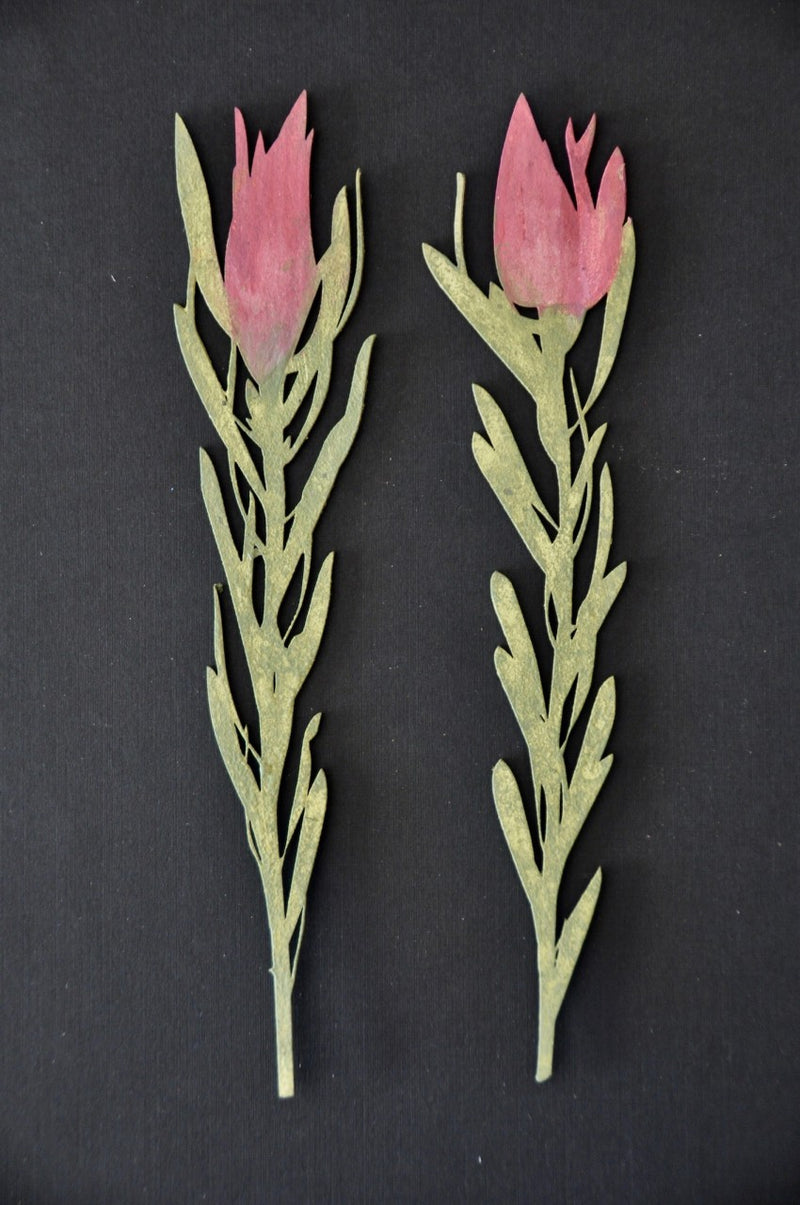 Dusty Attic Chipboard 3x9 - Proteas