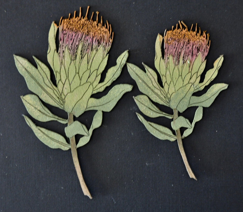 Dusty Attic Chipboard 4x6 - Proteas