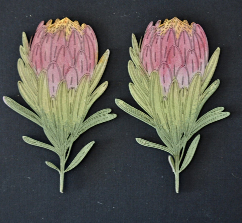 Dusty Attic Chipboard 4x6 - Proteas