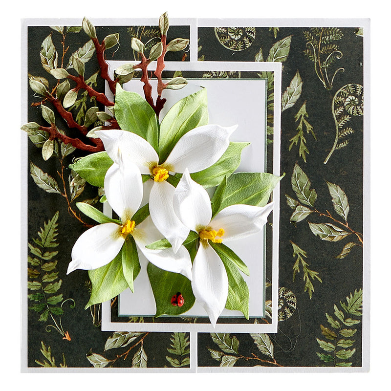 Spellbinders - Trillium Etched Dies, S4-1178 by: Susan Tierney-Cockburn