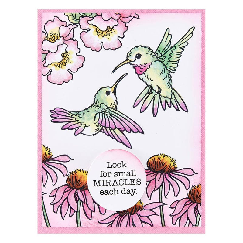 Stampendous Clear Stamp Set - Hummingbird Day, STP-193