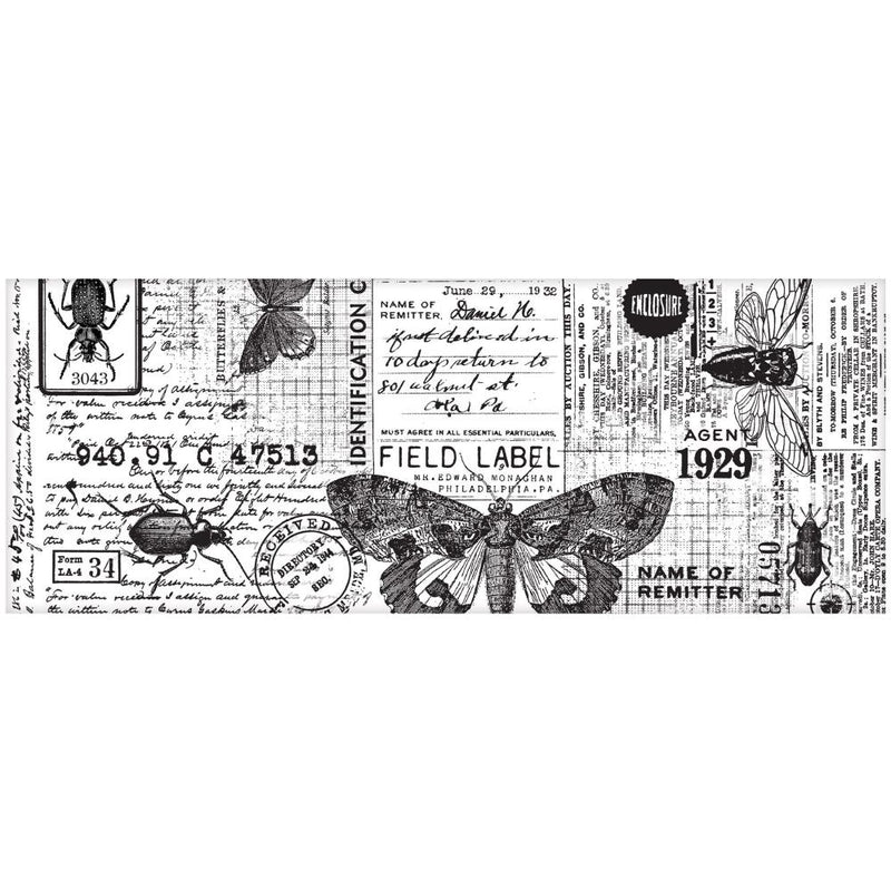 Tim Holtz Idea-ology Entomology Collage Paper 6"X6yds, TH94120