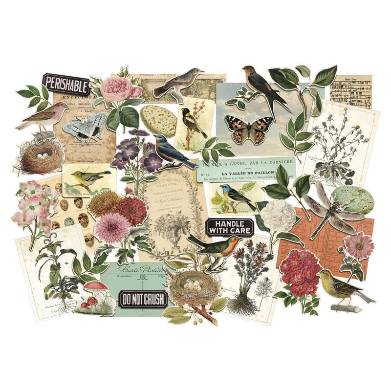 Tim Holtz Idea-ology Layers Die-Cuts - Organic, TH94316